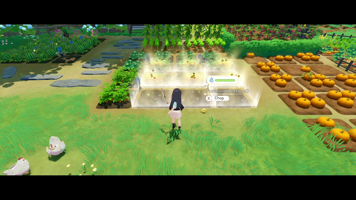 Starsand Island (Playstation 5)