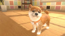 Little Friends: Dogs & Cats (Switch) 5056208803245