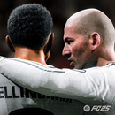 EA SPORTS: FC 25 (Playstation 4)