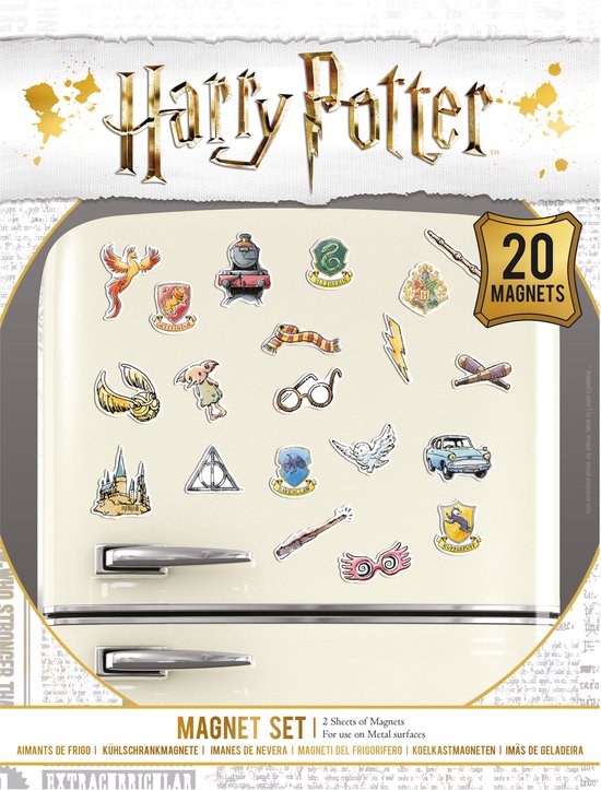 PYRAMID HARRY POTTER (WHIMSICAL) MAGNET SET