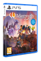 Wildermyth (Playstation 5)