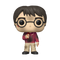 FUNKO POP HP: HP ANNIVERSARY- HARRY W/THE STONE