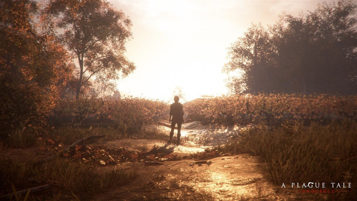 A Plague Tale: Innocence (Xbox One) 3512899122666