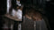 A Plague Tale: Innocence (Xbox One) 3512899122666