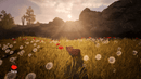 Adorable Adventures (Playstation 5) 5060690798118