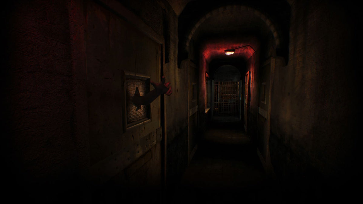 Asylum (Playstation 4) 8718591189401
