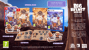 Big Helmet Heroes - Exalted Edition (Nintendo Switch) 8436622260133