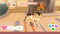 Cat Rescue Story (Nintendo Switch) 3665962026702