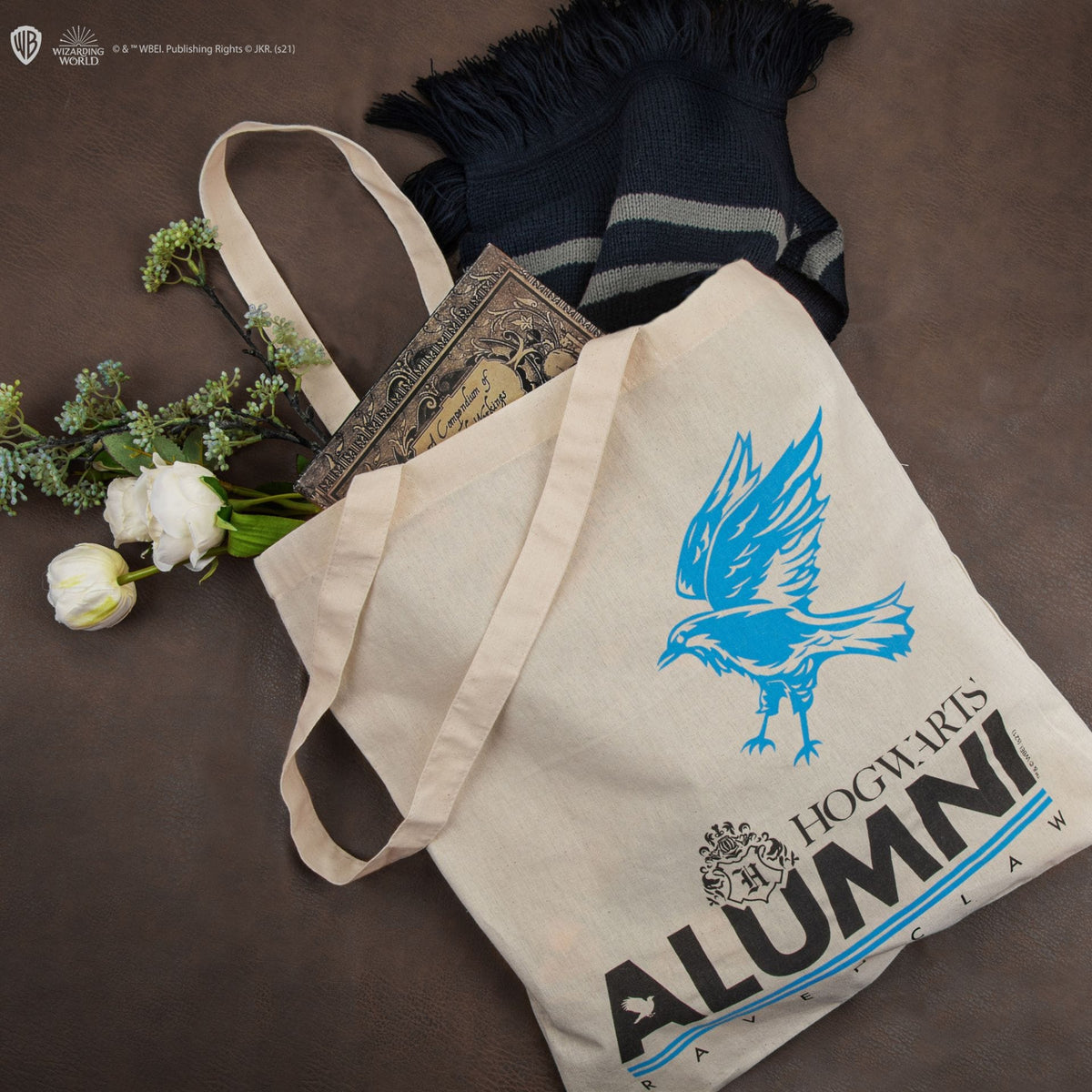CINEREPLICAS: HARRY POTTER  - TOTE BAG - ALUMNI RAVENCLAW 4895205604469