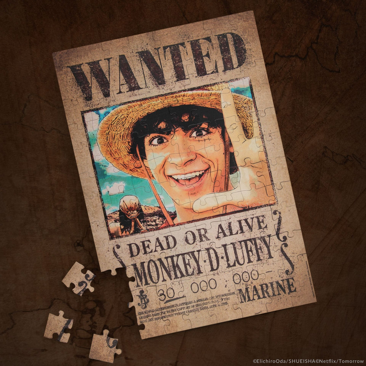 CINEREPLICAS: ONE PIECE - MAGNETIC PUZZLE - WANTED LUFFY IN A4 SIZE 4895205618770