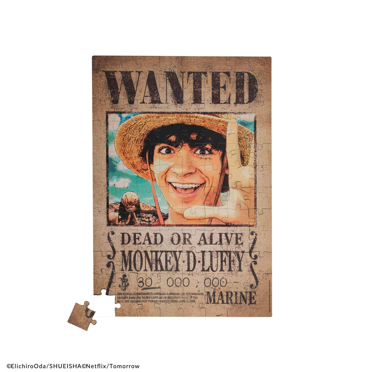 CINEREPLICAS: ONE PIECE - MAGNETIC PUZZLE - WANTED LUFFY IN A4 SIZE 4895205618770