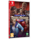 Double Dragon Revive - Limited Edition (Nintendo Switch) 3701529517334