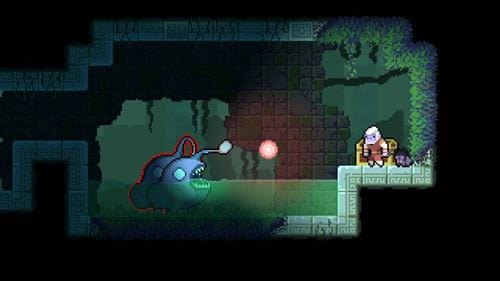 Dunjungle - Premium Edition (Nintendo Switch) 8436622260430