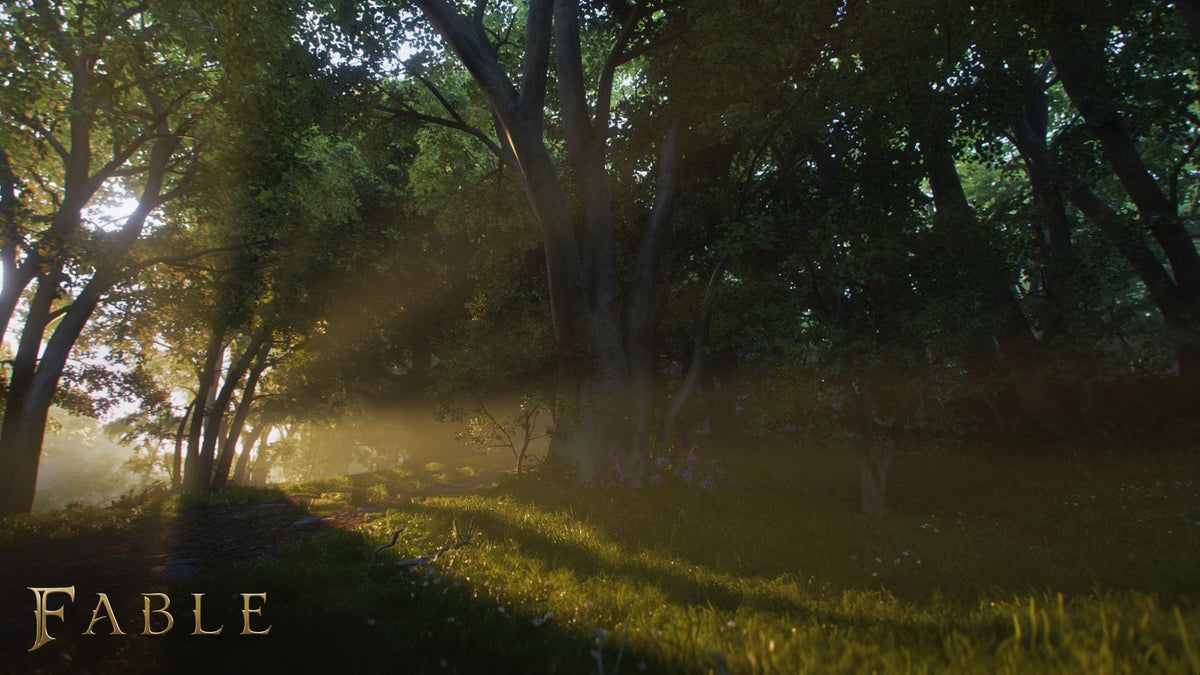 Fable (Playstation 5) 196388866960