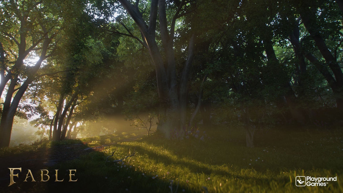 Fable (XBOX Series X) 196388866816