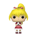 FUNKO POP ANIMATION: HUNTERXHUNTER - BISCUIT 889698613774