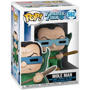 FUNKO POP: MARVEL - FANTASTIC FOUR - MOLE MAN 889698449908