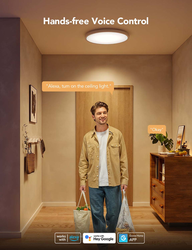 GOVEE 12INCH RGBWW + RGBIC ROUND SMART CEILING LIGHT 6974316994206