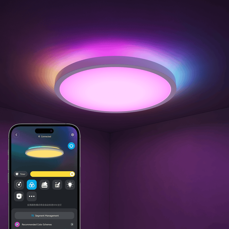 GOVEE 12INCH RGBWW + RGBIC ROUND SMART CEILING LIGHT 6974316994206