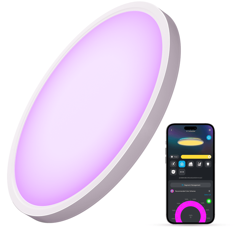 GOVEE 12INCH RGBWW + RGBIC ROUND SMART CEILING LIGHT 6974316994206