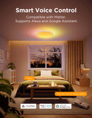 GOVEE 15INCH RGBICWW + RGBICWW ROUND SMART CEILING LIGHT 6974316995937