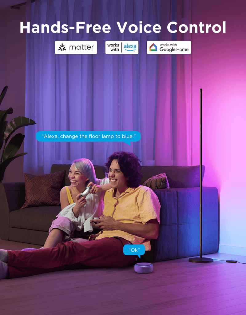 GOVEE FLOOR LAMP LITE 6974316996835