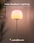 GOVEE LANTERN FLOOR LAMP S 6974316991977
