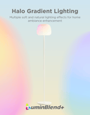 GOVEE LANTERN FLOOR LAMP S 6974316991977