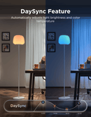 GOVEE LANTERN FLOOR LAMP S 6974316991977