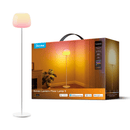 GOVEE LANTERN FLOOR LAMP S 6974316991977