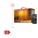 GOVEE LANTERN FLOOR LAMP S 6974316991977