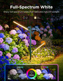 GOVEE RGBICWW GARDEN LIGHTS 6974316995883