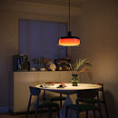 GOVEE RGBICWW PENDANT LIGHT 6974316991922