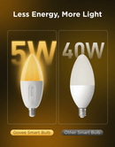 GOVEE RGBWW SMART LED BULB (2PACKS) E14 6974316993360