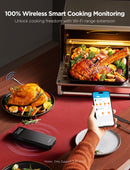 GOVEE SMART WIRELESS MEAT THERMOMETER (2-PROBE) 6974316996798