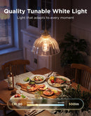 GOVEE ST19 SMART EDISON BULB E27 6974316992448
