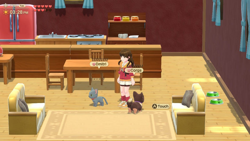Harvest Moon: Home Sweet Home - Special Edition (Nintendo Switch) 5060997483755