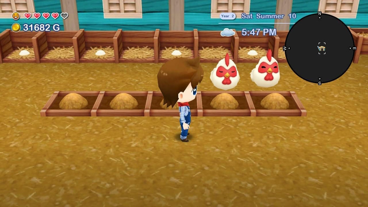 Harvest Moon: The Lost Valley & Skytree Village - Collector's Edition (Nintendo Switch) 5060997483519