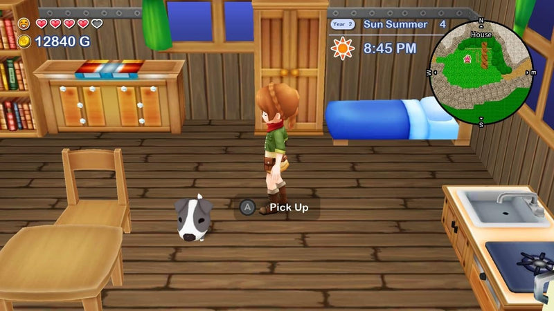 Harvest Moon: The Lost Valley & Skytree Village - Standard Edition (Nintendo Switch) 5060997483496