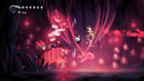Hollow Knight (Nintendo Switch 2) 8721593149083