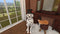 House Flipper - Pets Edition (Nintendo Switch) 5060264378494