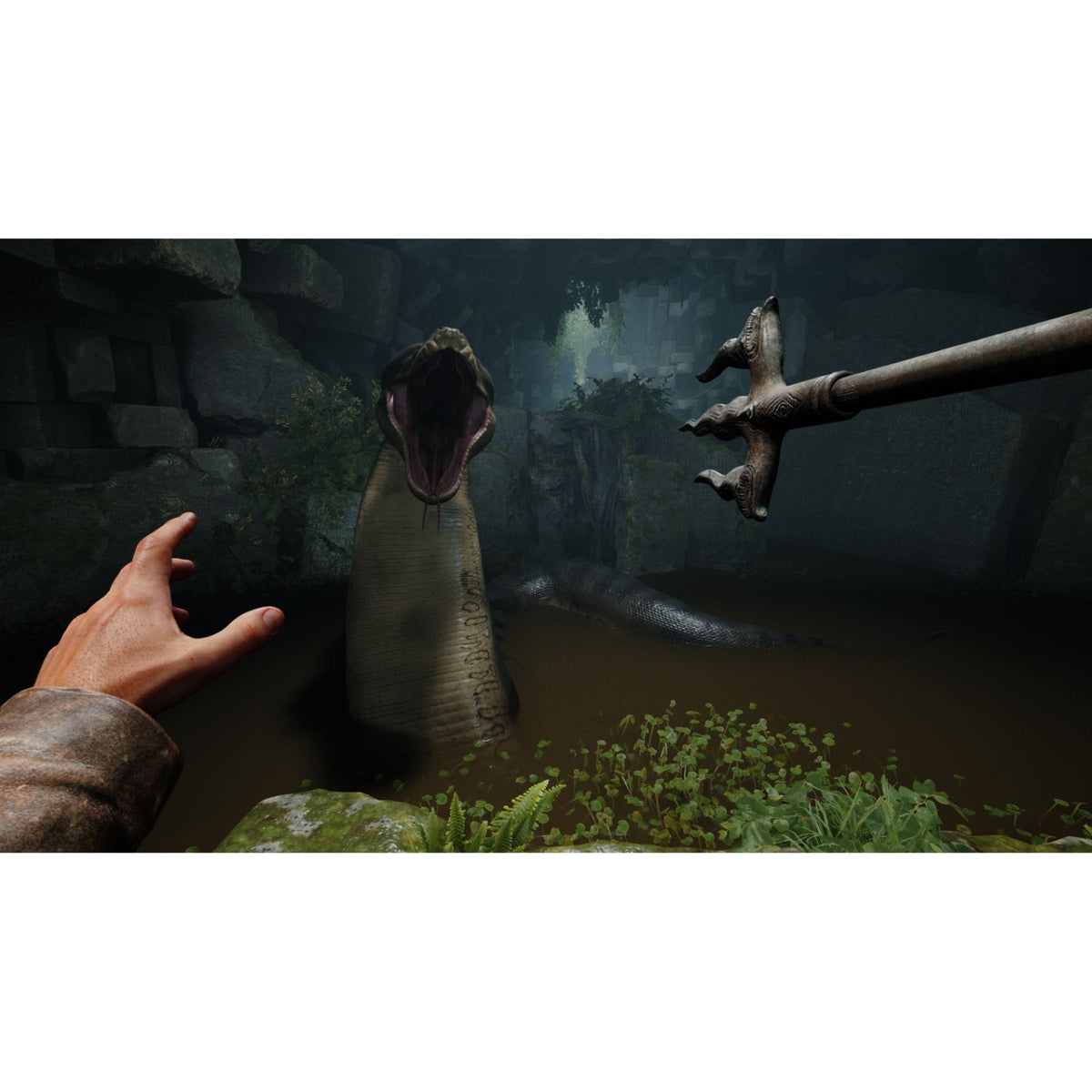 Indiana Jones And The Great Circle (Nintendo Switch 2) 196388816279