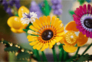 LEGO Botanicals Wildflower Bouquet