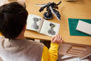 LEGO MINECRAFT - THE ENDER DRAGON