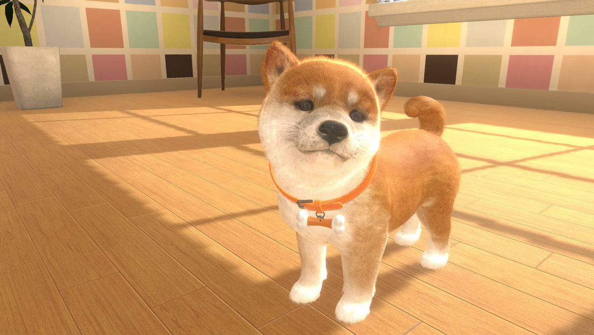 Little Friends Dogs & Cats (CIAB) (Nintendo Switch) 5056208826299