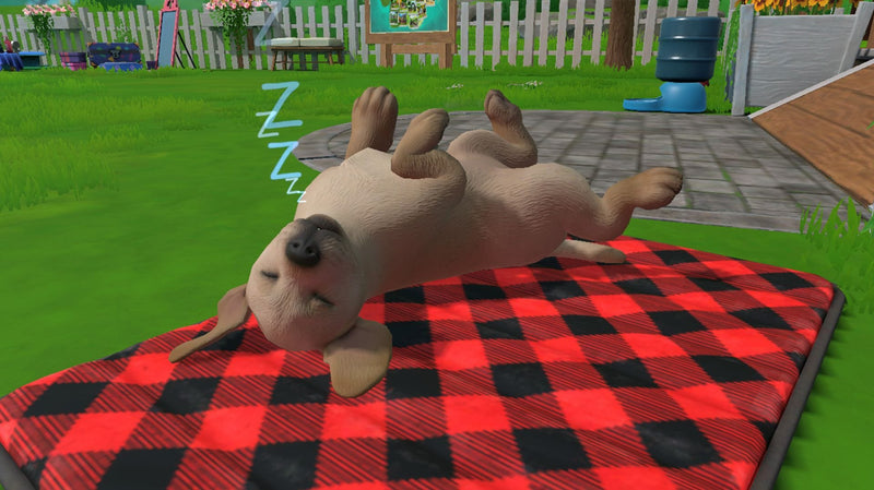 Little Friends Puppy Island (CIAB) (Nintendo Switch) 5056208826350