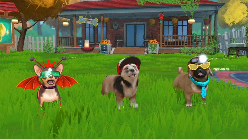 Little Friends Puppy Island (CIAB) (Nintendo Switch) 5056208826350