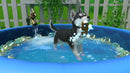 Little Friends Puppy Island (CIAB) (Nintendo Switch) 5056208826350