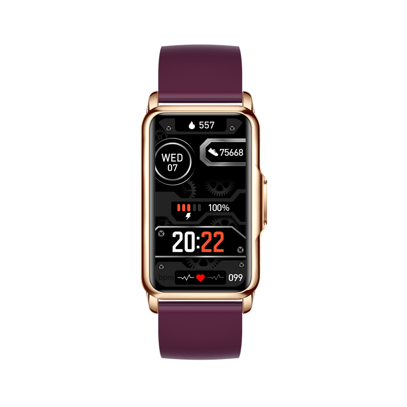 MOYE KRONOS FIT BUDDY SMART BAND – PURPLE 8605042605484