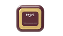 MOYE WIRELESS EARBUDS - HARRY POTTER 8605042626038